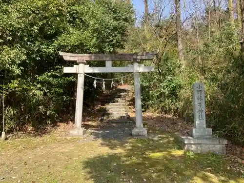 小野妹子神社の鳥居