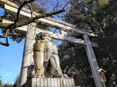 秩父神社(埼玉県)