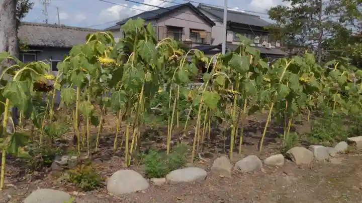 石刀神社の自然