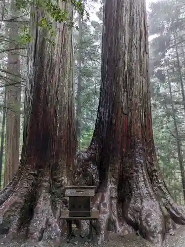 三峯神社(埼玉県)