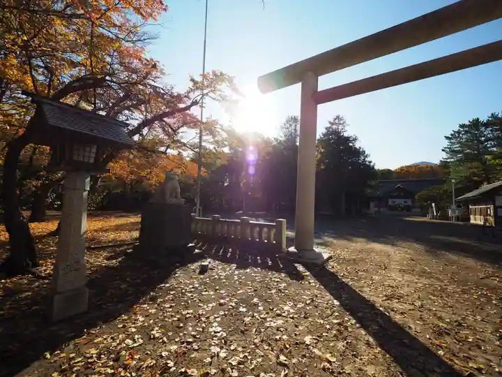 岩内神社の自然