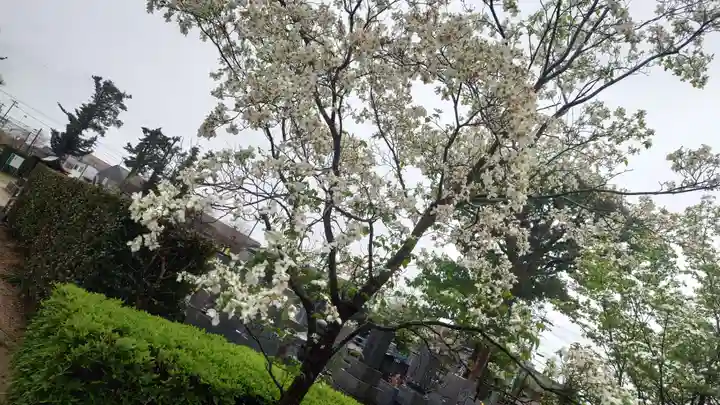 行福寺(愛知県)