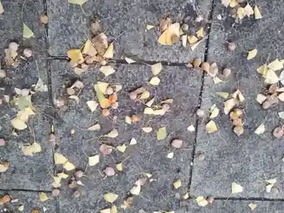 西来寺(神奈川県)