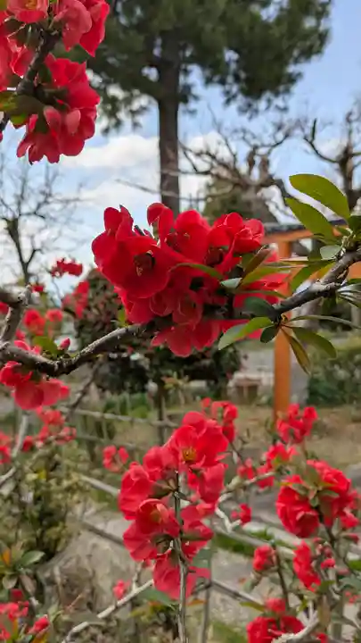 惠心院(京都府)