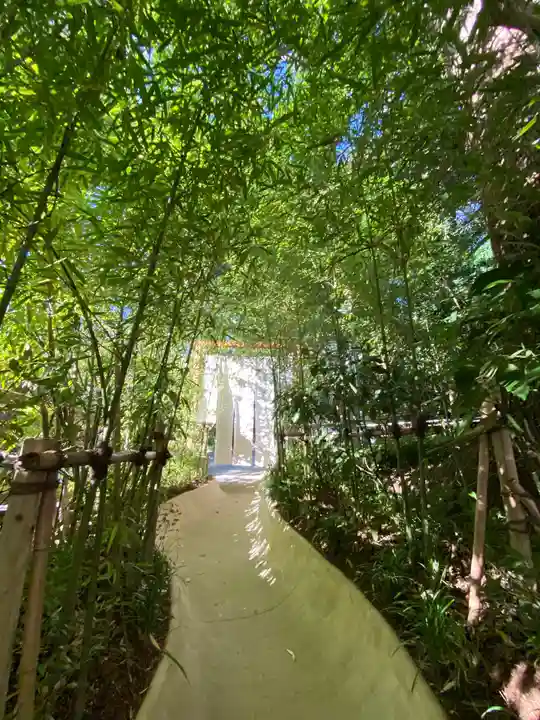 來宮神社の自然