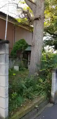 戸ヶ崎稲荷大明神の自然