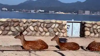 厳島神社(広島県)