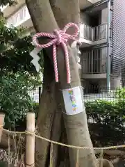 伊和志津神社(兵庫県)