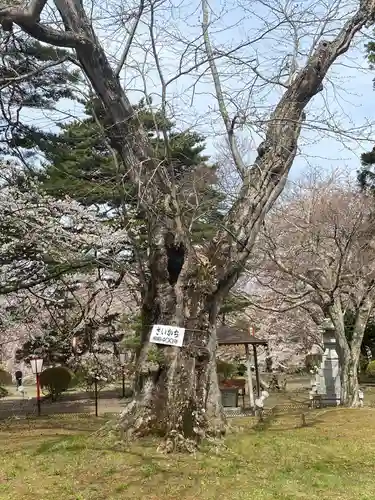 糠部神社の自然