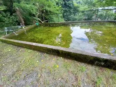 猪鼻熊野神社(埼玉県)