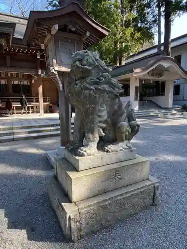 白山比咩神社の狛犬