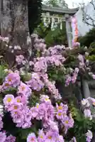 横浜御嶽神社の自然