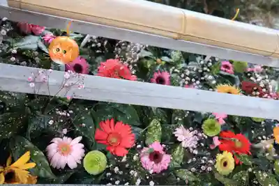 豊景神社の手水舎