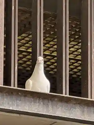 靖國神社(東京都)