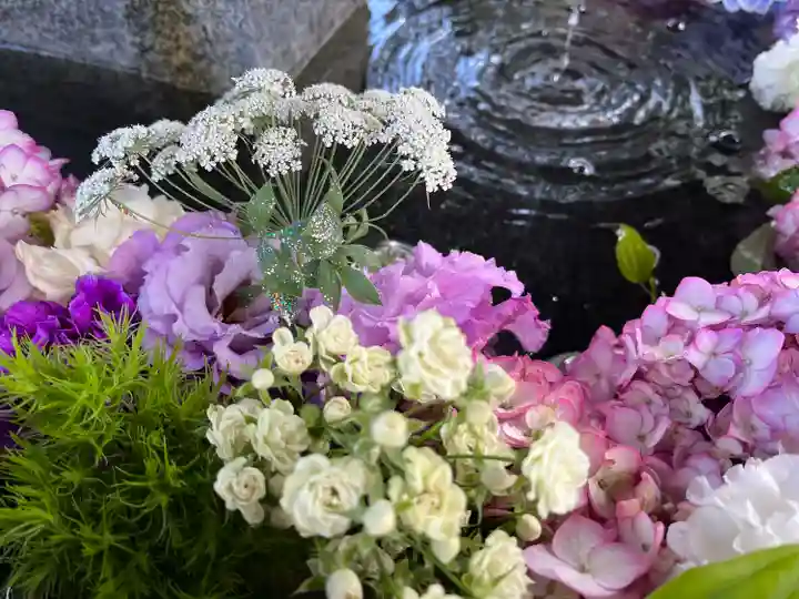 新琴似神社の手水舎