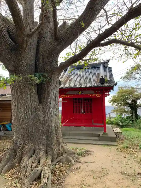 稲荷神社(千葉県)