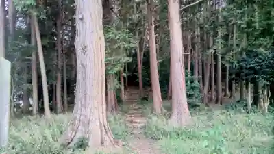 出雲伊波比神社(埼玉県)