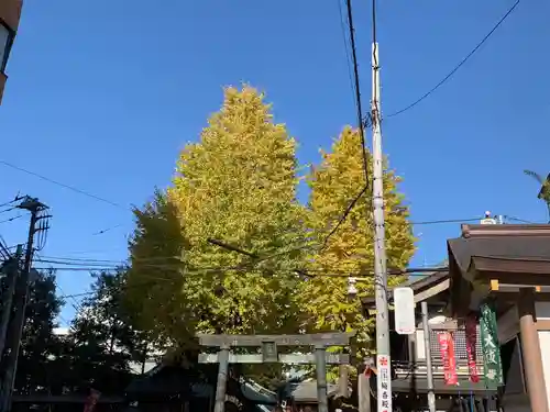 湯島天満宮の景色