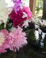 高司神社〜むすびの神の鎮まる社〜(福島県)