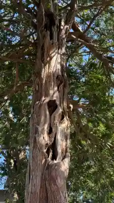 意冨比神社(北海道)