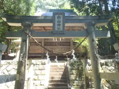 白山神社(愛知県)