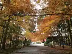 多田神社の自然