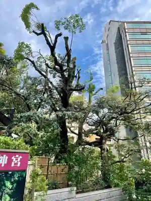 東京大神宮(東京都)