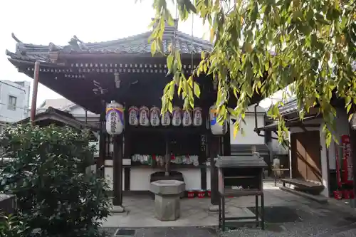 地蔵院（椿寺）(京都府)