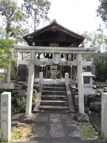 妙顯寺（妙顕寺）の鳥居