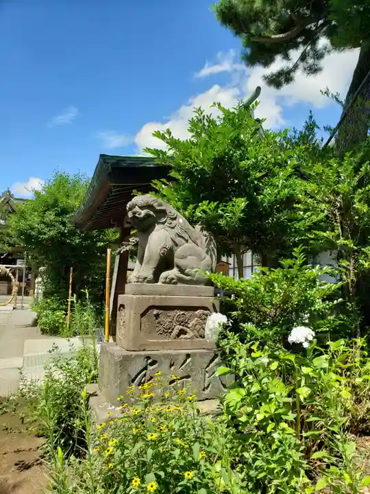 鷺宮八幡神社の狛犬