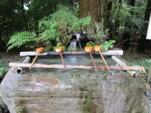 霧島神宮(鹿児島県)