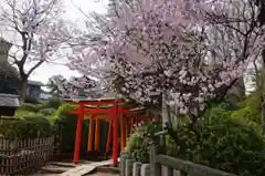 根津神社の庭園