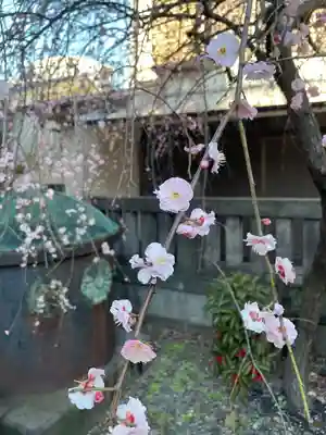 筑土八幡神社(東京都)