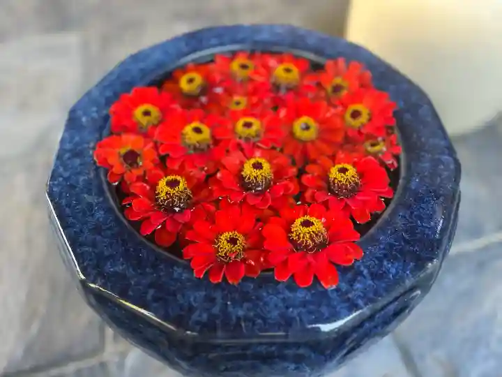 立志神社(滋賀県)