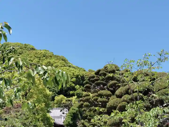 福祥寺(須磨寺)(兵庫県)