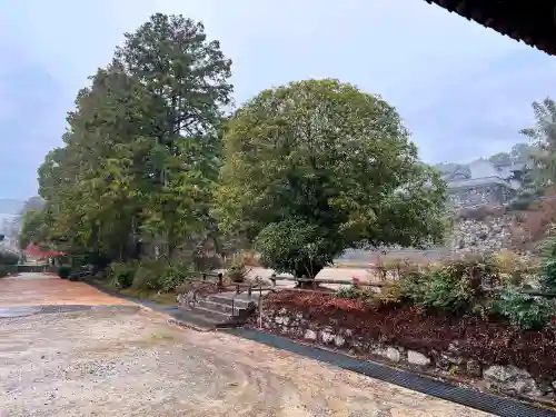 実相院(佐賀県)