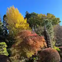 天台宗　長窪山　正覚寺の庭園