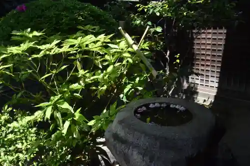 観智院（東寺子院）の庭園