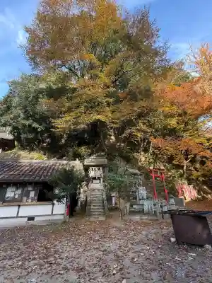 金刀比羅神社(岡山県)