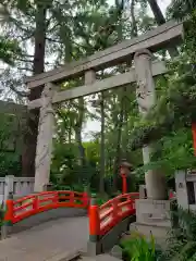 馬橋稲荷神社の鳥居