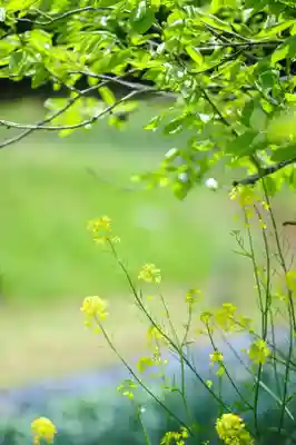 浄土寺(兵庫県)