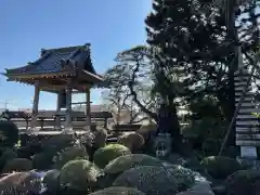 金剛寺の建物その他