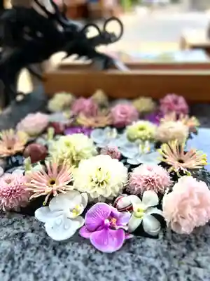 川越八幡宮(埼玉県)