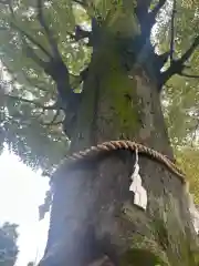 出雲大社相模分祠(神奈川県)