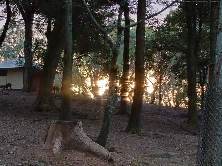 春日大社のその他建物