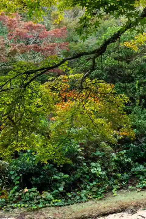御山神社(厳島神社奧宮)(広島県)