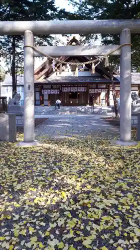 新琴似神社の鳥居