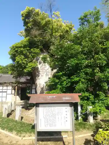 伝真院東光寺(茨城県)