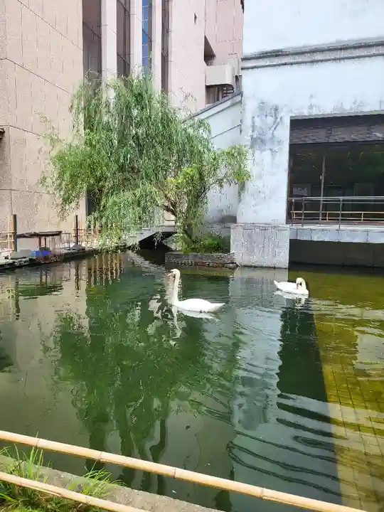 頂法寺(六角堂)(京都府)