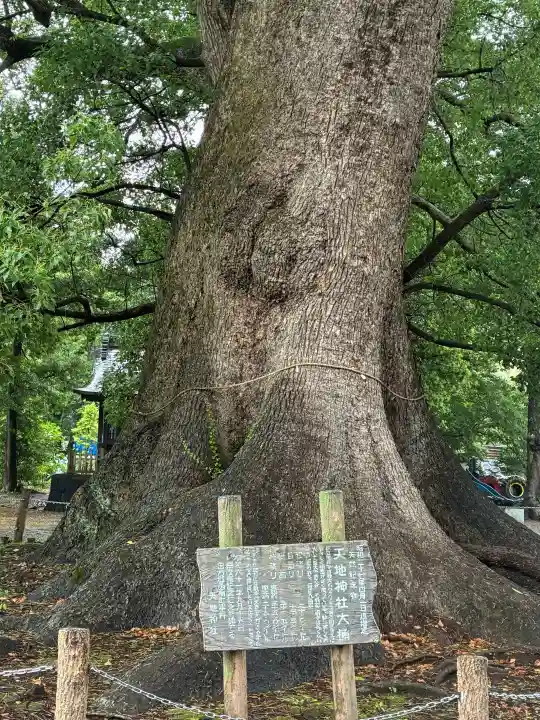 天地神社(静岡県)